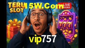 Secure Login vip757